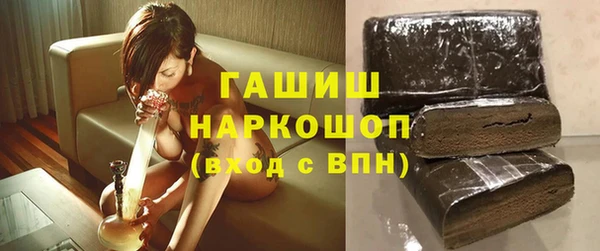 твердый Инта