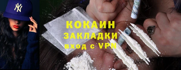 твердый Инта