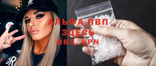 твердый Инта