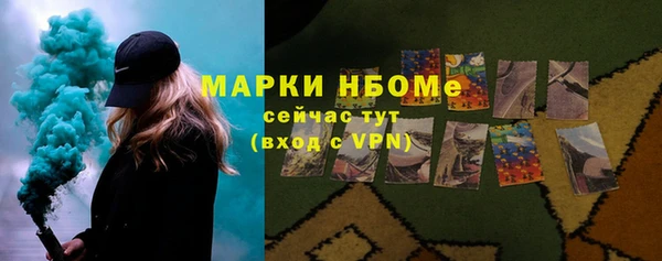 твердый Инта