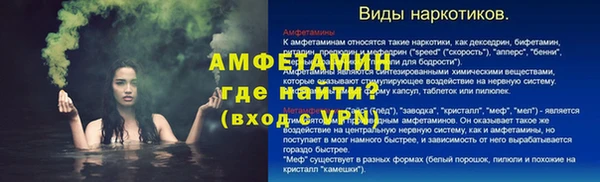 твердый Инта