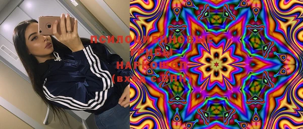 прущие грибы Наволоки