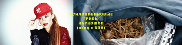 скорость Инсар