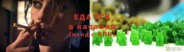 твердый Инта