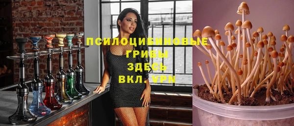 твердый Инта