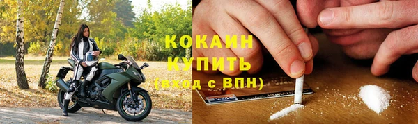 твердый Инта
