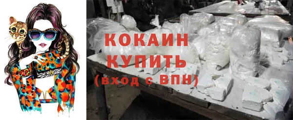 стаф Надым