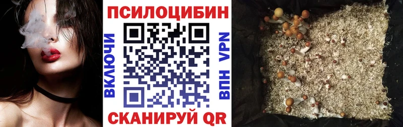 Псилоцибиновые грибы MAGIC MUSHROOMS  blacksprut   Карабаново 